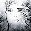 Voir le profil de nata