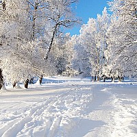 sоumdu95c - homme bisexuel de 68 ans