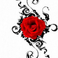 skygirl - lesbienne de 43 ans