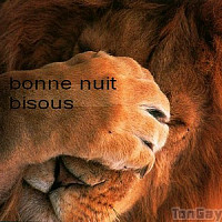 claude69fr - homme bisexuel de 63 ans