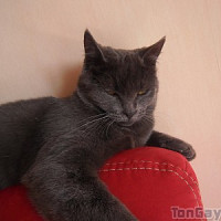 philip87 - homme bisexuel de 57 ans