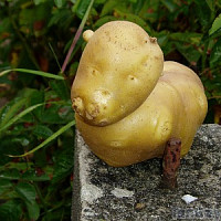 timide29 - gay de 58 ans