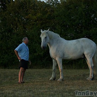 librecomte - homme bisexuel de 72 ans