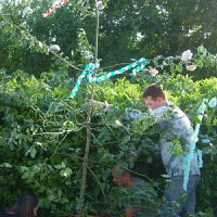 stalonne - homme bisexuel de 58 ans