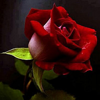 micheau - homme bisexuel de 54 ans