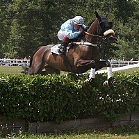 pimouss5 - lesbienne de 34 ans