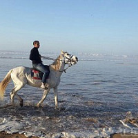 zak_men - homme bisexuel de 33 ans