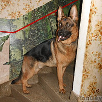 vindiou - lesbienne de 59 ans