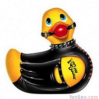 speidi75 - homme bisexuel de 54 ans