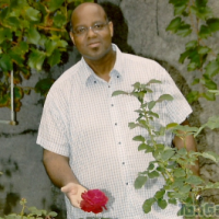 lecolibri - homme bisexuel de 45 ans