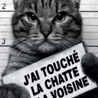 francky77 - homme bisexuel de 57 ans