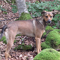 lesecrins - homme bisexuel de 58 ans