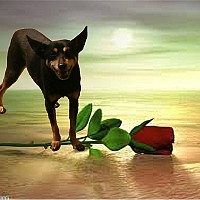 angelo86 - homme bisexuel de 47 ans