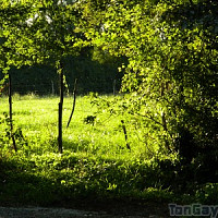 libel-lule - lesbienne de 41 ans