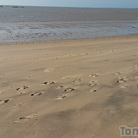 ma2x41 - gay de 29 ans