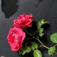 ghantym - lesbienne de 47 ans