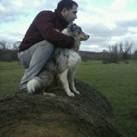 angelus150377 - homme bisexuel de 49 ans