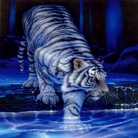 gaypotefun - gay de 44 ans