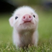 crecree7 - lesbienne de 30 ans