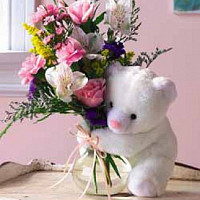 dany4210 - homme bisexuel de 74 ans