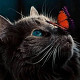 craig_lyner