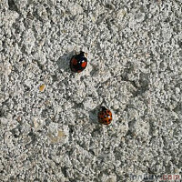 voisin67 - homme bisexuel de 58 ans