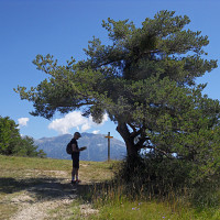 adel69 - gay de 63 ans