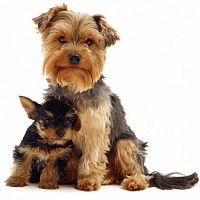 moi1965 - lesbienne de 57 ans