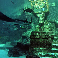 monde57000 - gay de 71 ans