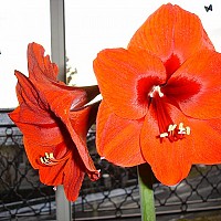 titus15 - gay de 28 ans