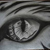 chat-errant - gay de 28 ans