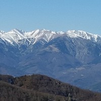 manou6666 - homme bisexuel de 66 ans