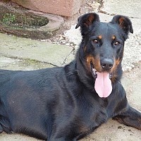 danton67 - gay de 77 ans