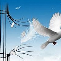 delice30 - femme bisexuelle de 52 ans