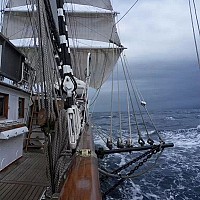 papi12345 - homme bisexuel de 74 ans