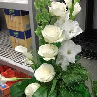 loudovik - homme bisexuel de 49 ans