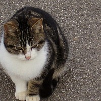 surho - gay de 69 ans