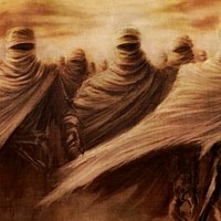 kimo10dz - gay de 41 ans