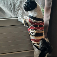 didier71 - gay de 56 ans