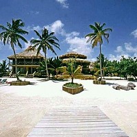 bulg93 - homme bisexuel de 27 ans