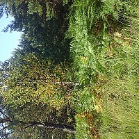 travfunes44 - gay de 58 ans