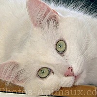 melimela77 - lesbienne de 39 ans