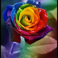 patoudu56 - lesbienne de 60 ans