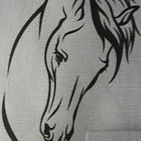 debut428 - homme bisexuel de 53 ans