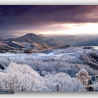 tresdoux - homme bisexuel de 65 ans