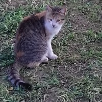 mallott - homme bisexuel de 60 ans