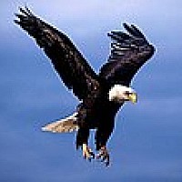 jc17 - homme bisexuel de 59 ans