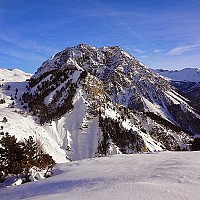 pgaygo - homme bisexuel de 33 ans