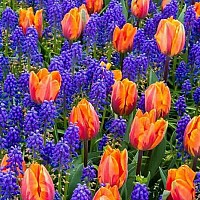 evelyn120 - gay de 30 ans