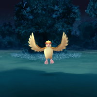 ulyss35 - lesbienne de 65 ans